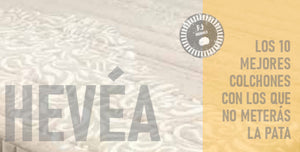 Hevéa